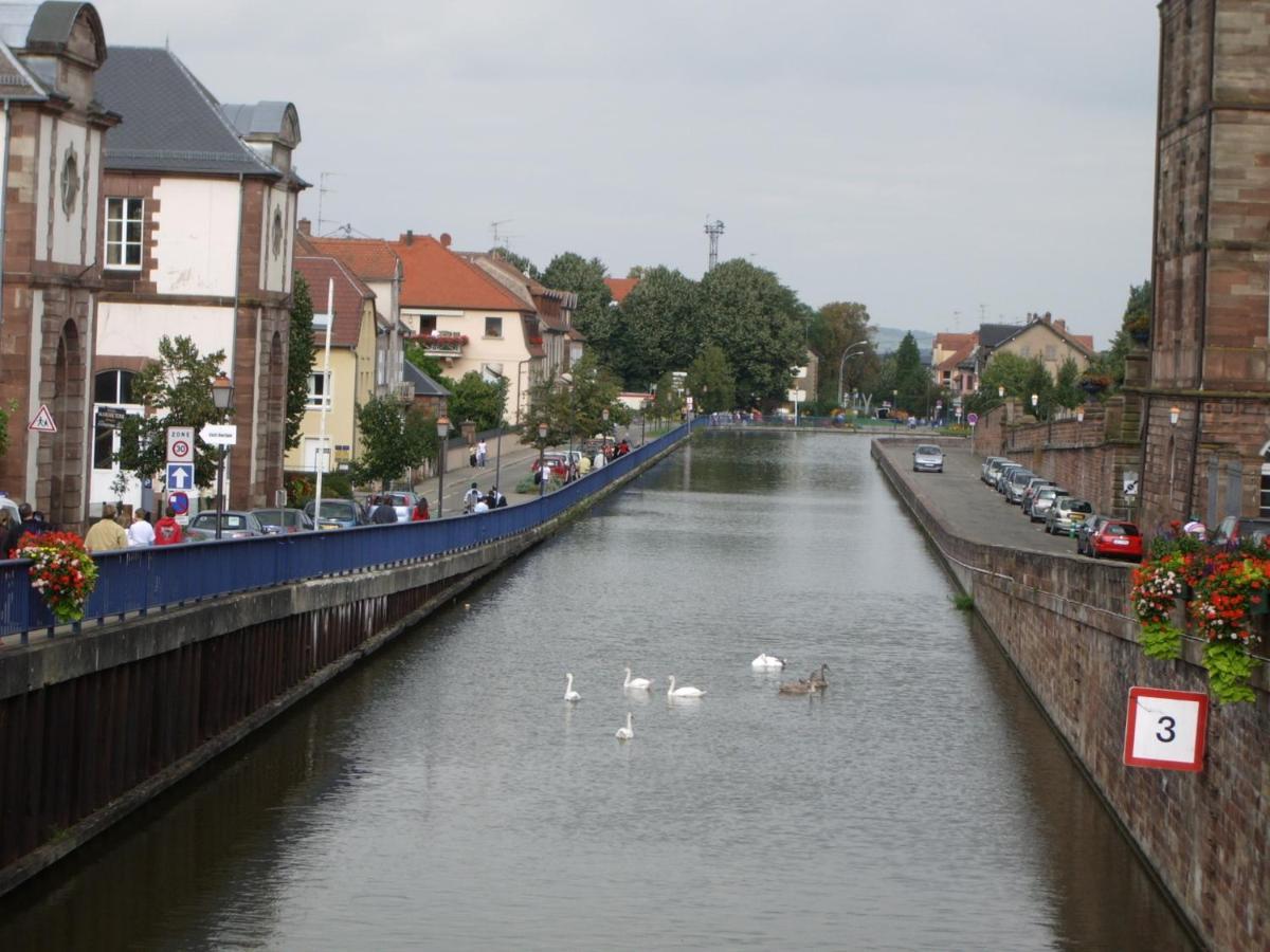 Gite "Au Joyeux Marcheur" Dabo - Logement Entier Esterno foto